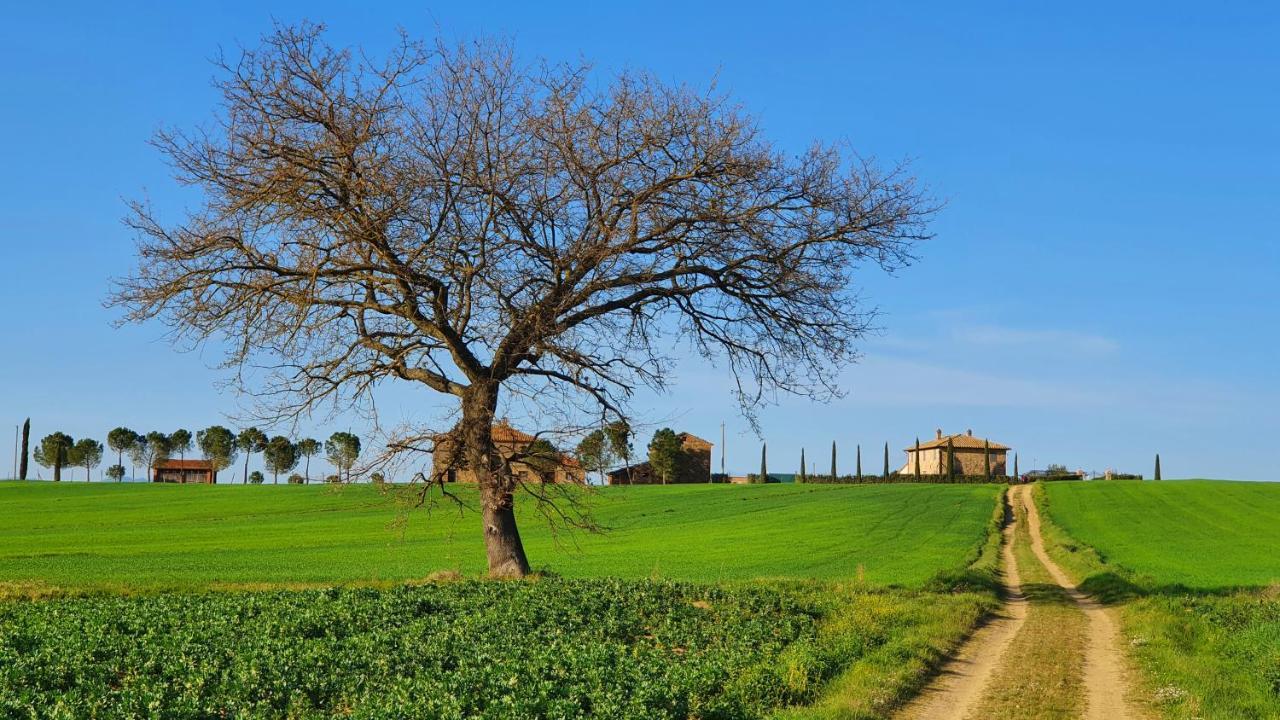 Vacanze Sant Andrea Paciano Eksteriør bilde